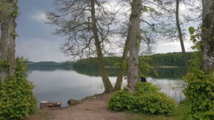 Oplev vinterlandskabet i Fussingøskovene