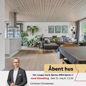 Opslagsbillede