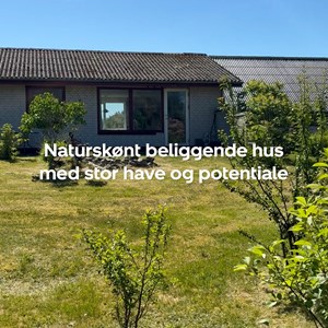 Opslagsbillede