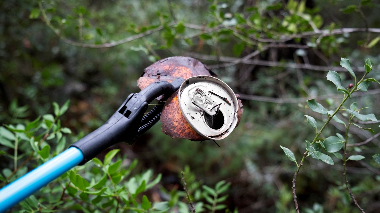 Affaldsindsamling - en hjælpende hånd til hjælperne