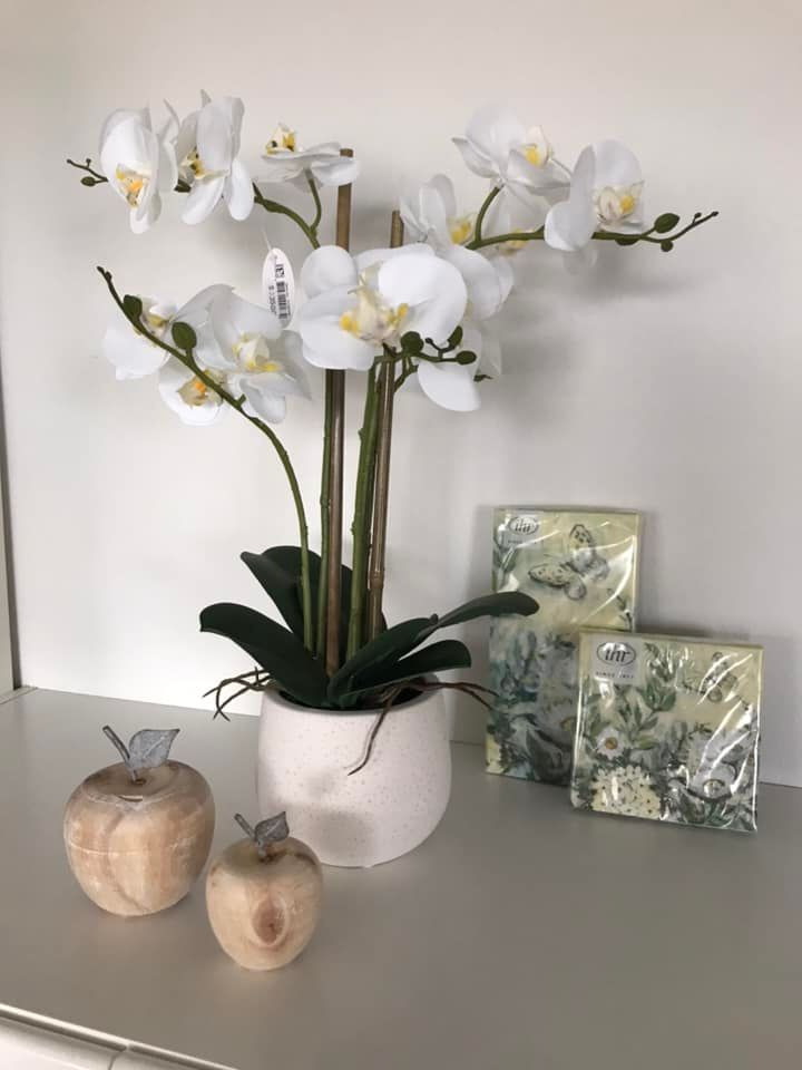 Hold trit med lokalområdet: Nyt fra Skive