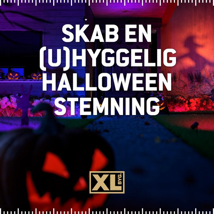 Opdatér dig her: Det nyeste fra Hals