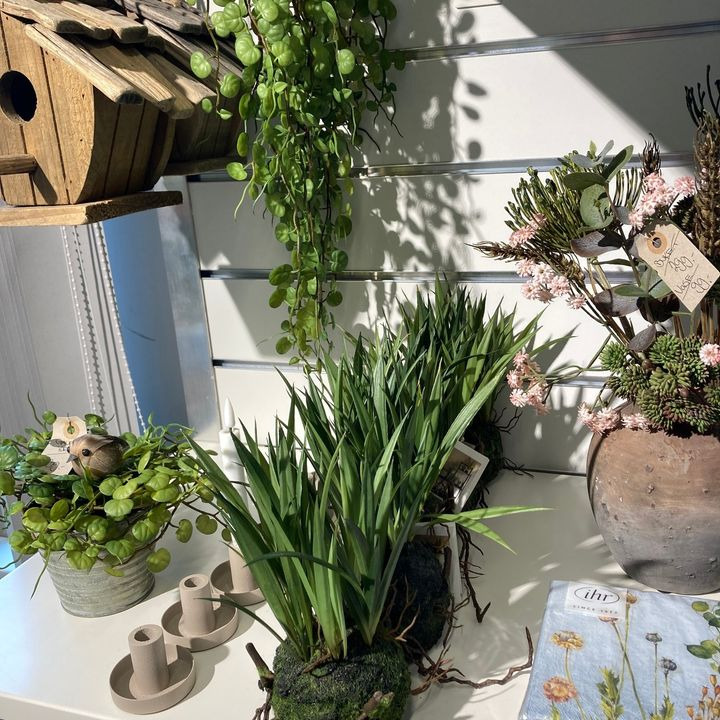 HilmarS ApS tilbyder kunstige planter og pynt i Skive og online