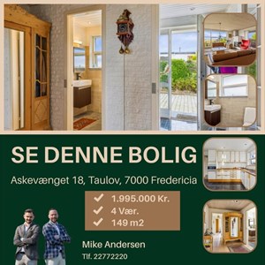 Opslagsbillede