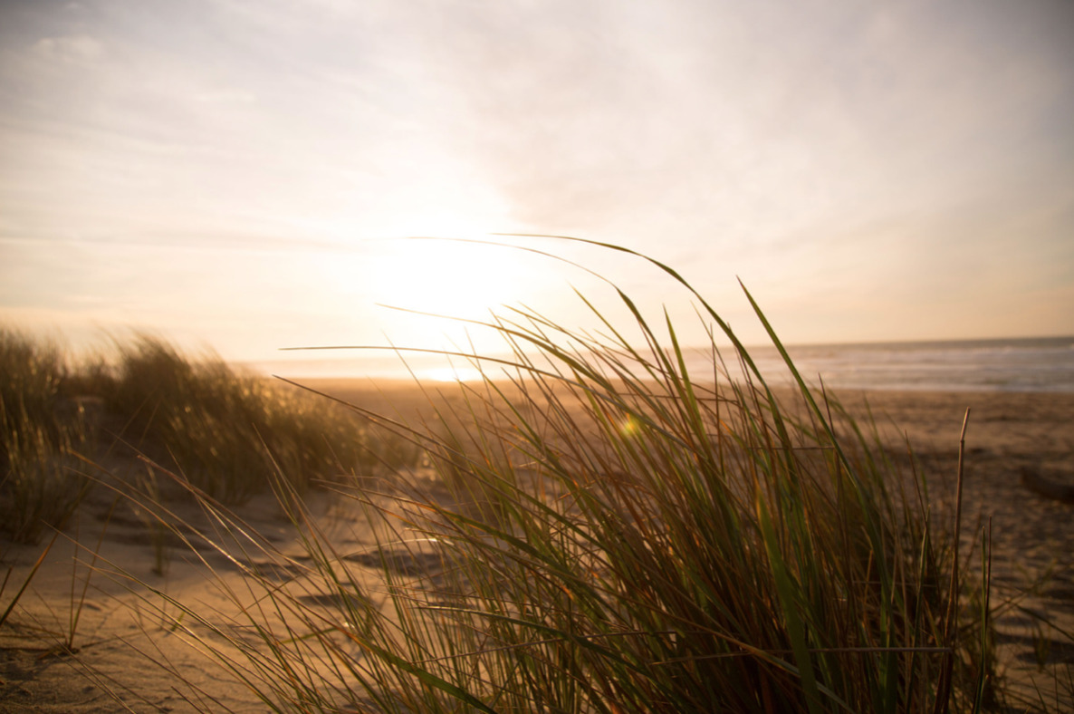 Guide til Skiveegnens bedste badestrande