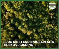 Skovbygaard A/S tilbyder tilskud og rådgivning til skovrejsning på landbrugsjord
