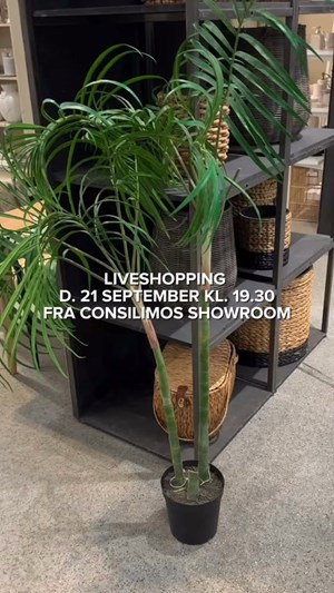 opslagsbillede