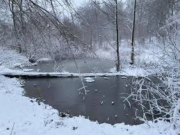 Træning og teknik i skoven hver søndag