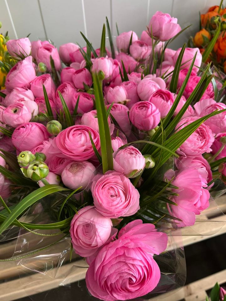 Nyt på opslagstavlen i Horsens