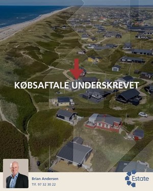 opslagsbillede
