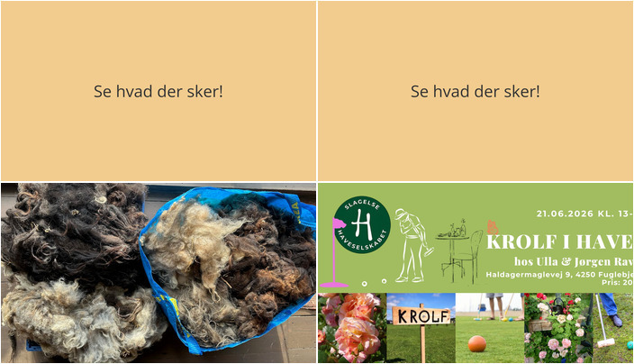 Oplev Fuglebjerg: Uldworkshop og Krolfhygge i Haven
