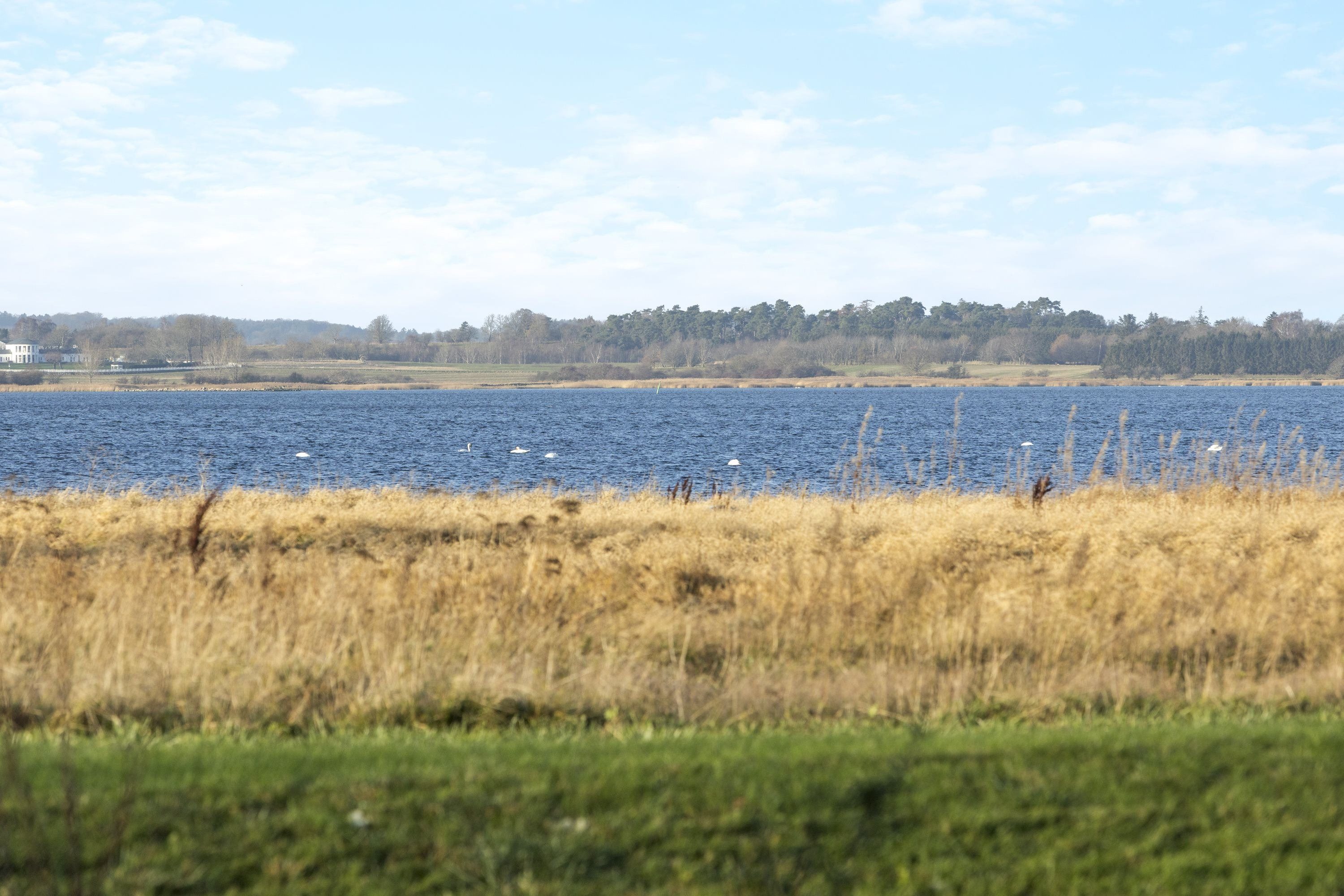 Luksus til salg: Marskvænget 1B til 7,2  mio. kroner – Se Jyllinges dyreste boliger her