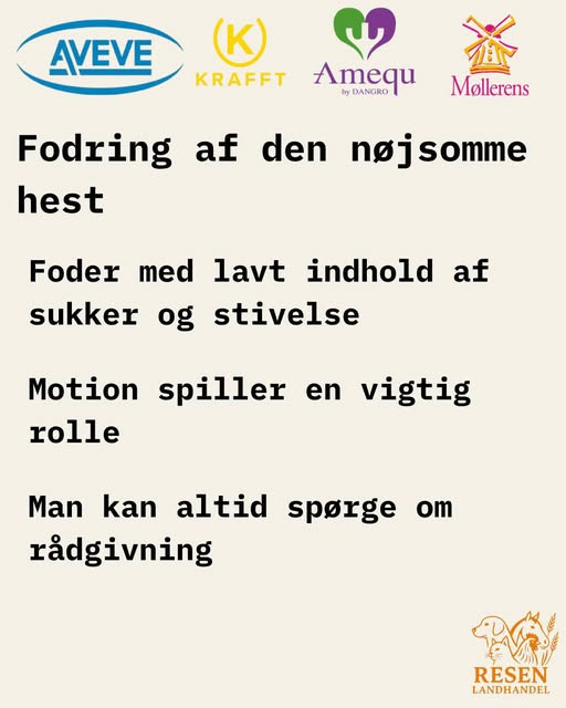 Resen Landhandel hjælper med fodring til nøjsomme heste