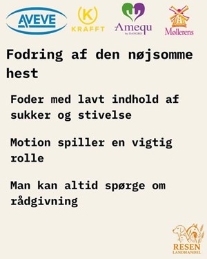 opslagsbillede