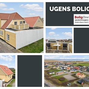 Opslagsbillede