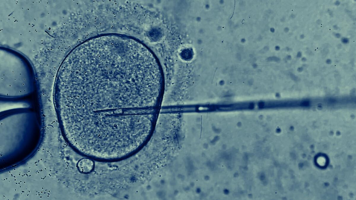 Nyt fra Heyttu Akupunktur Klinik