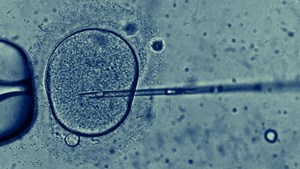 Nyt fra Heyttu Akupunktur Klinik