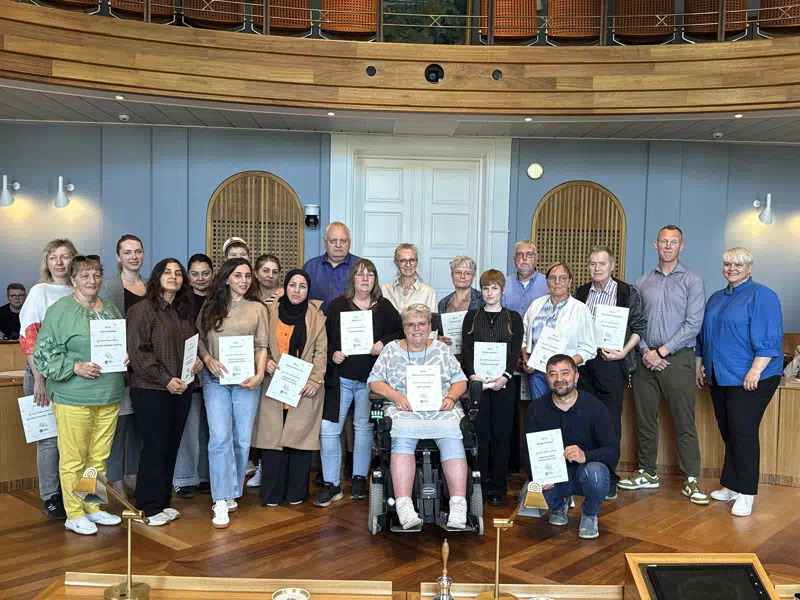 Frivillige fra Kolding-foreninger hyldet ved årlig ceremoni i byrådssalen