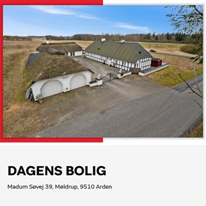 Opslagsbillede