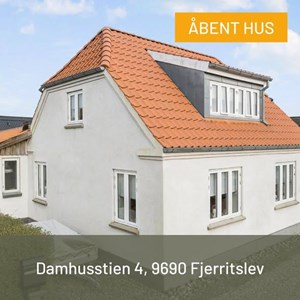 Opslagsbillede