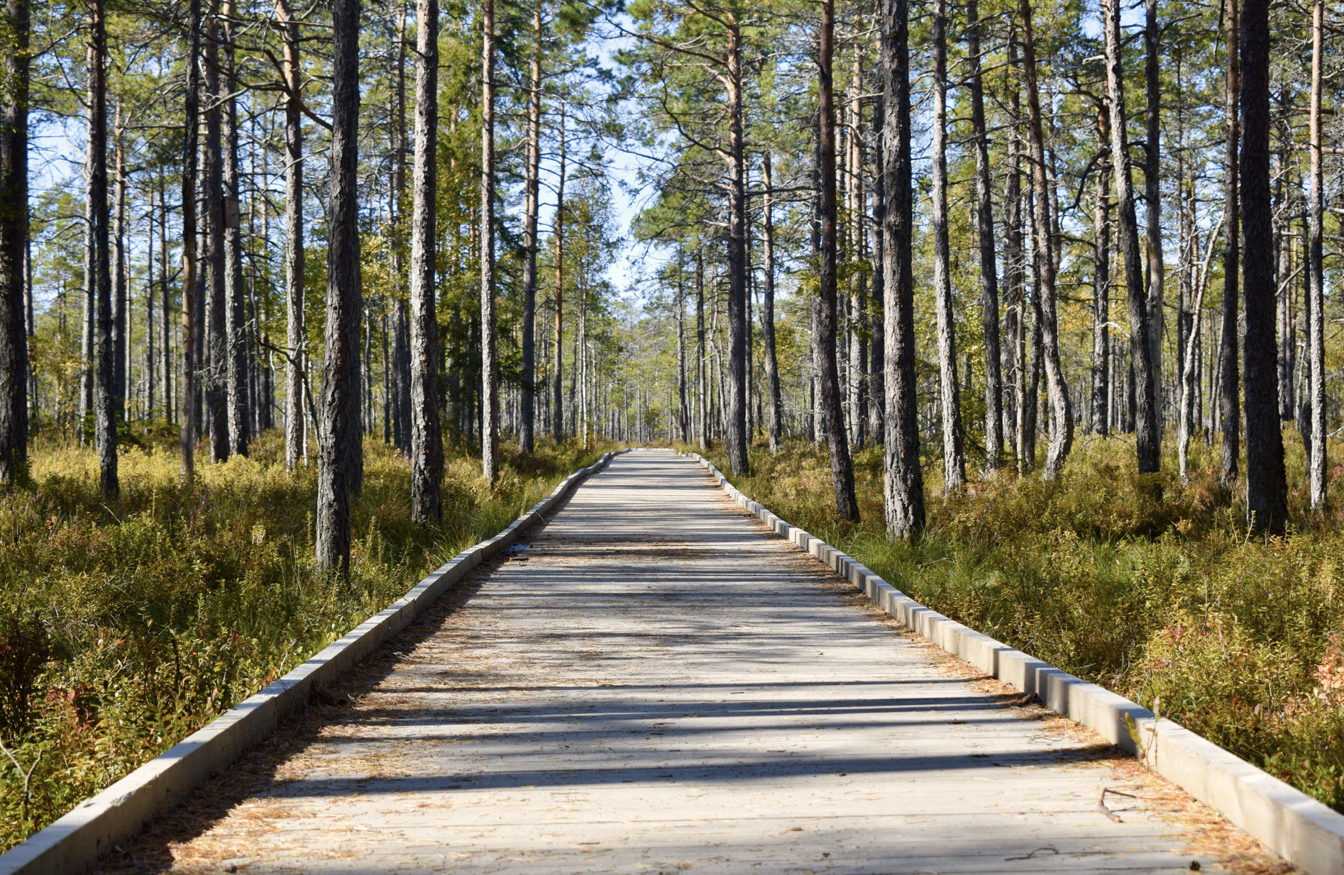 Geopark Vestjylland fejrer UNESCO godkendelse