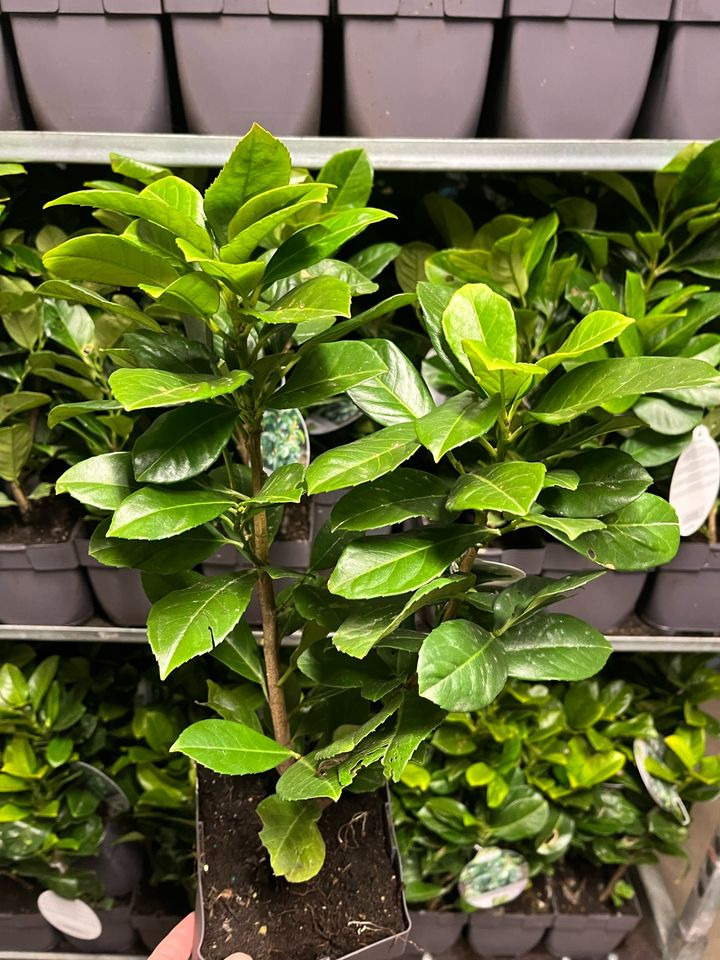 Det nyeste på Horsens’ opslagstavle