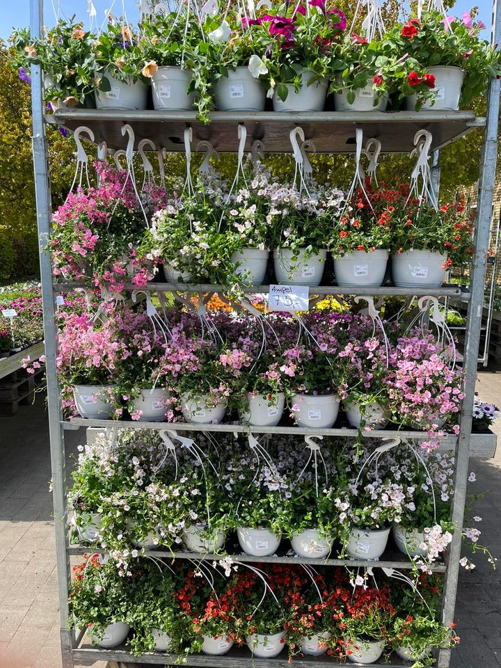 Hold trit med lokalområdet: Nyt fra Hedensted