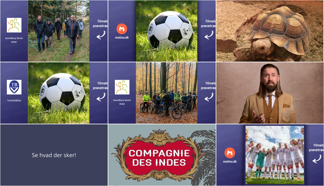 Aktiviteter i Svendborg: Motion, natur og kulturelle oplevelser i den kommende uge