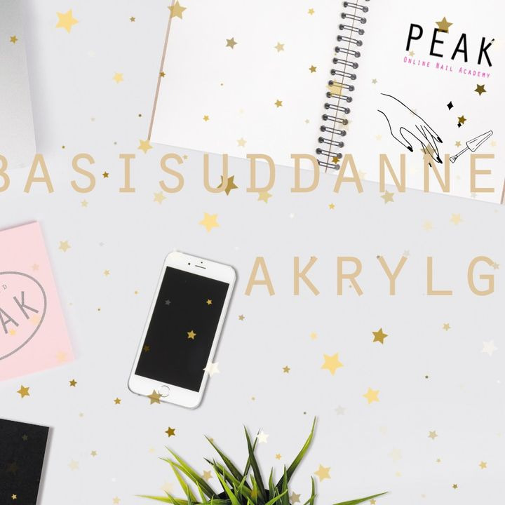 En finger på pulsen i Viborg