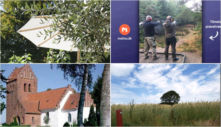 Frokostmenuer, skydetræning og historiske vandreture: Hvad kan du opleve i Lejre i den kommende uge?