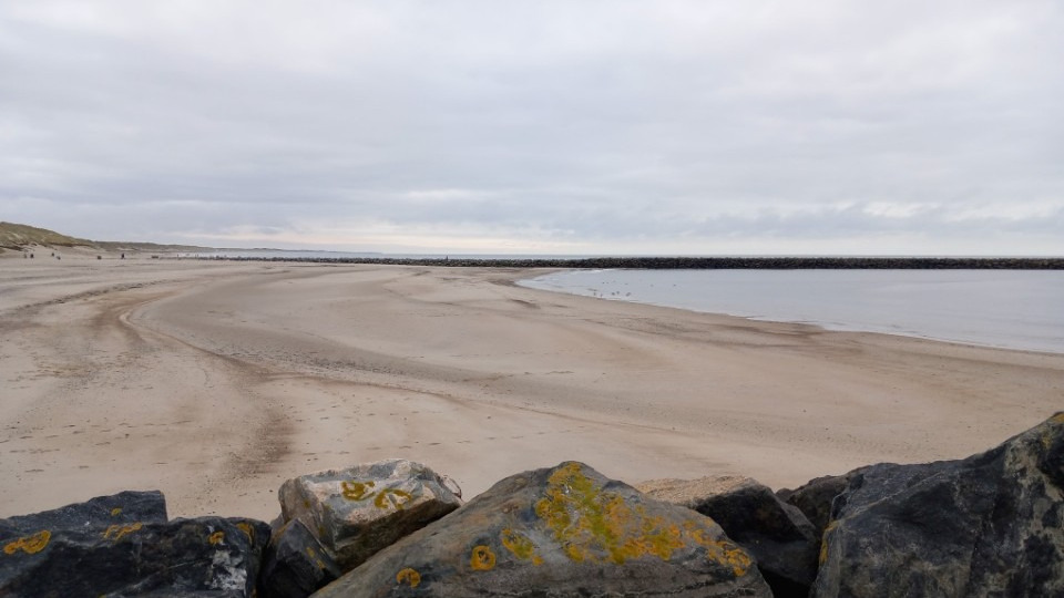 Forstå ventesorg: En skjult emotionel udfordring ved forventet tab