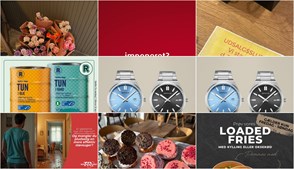 Nyt fra SKOUSEN Thisted, Møllegårdens Camping, MOBILHYTTEN og 11 andre