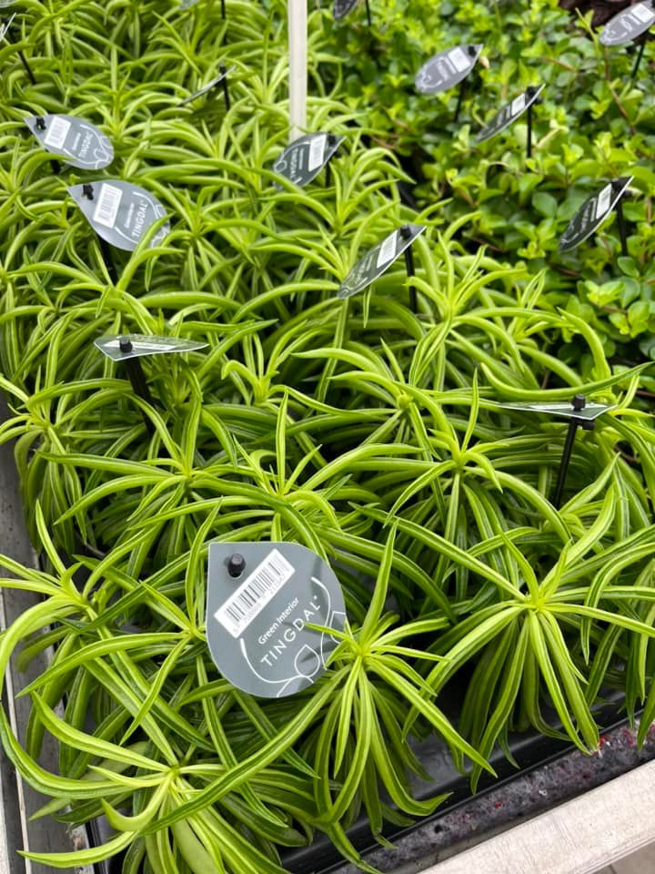 Opdatér dig her: Det nyeste fra Horsens