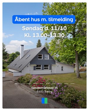 opslagsbillede