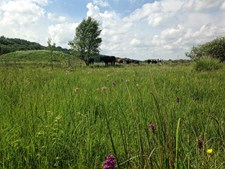 Tag på tidsrejse med Randers Naturcenter