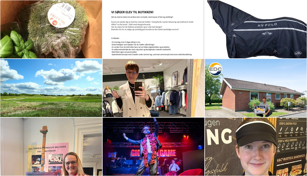 Nyt fra Lux By Jakobsen, Florist Pernille DB, Gimsinghoved og 8 andre