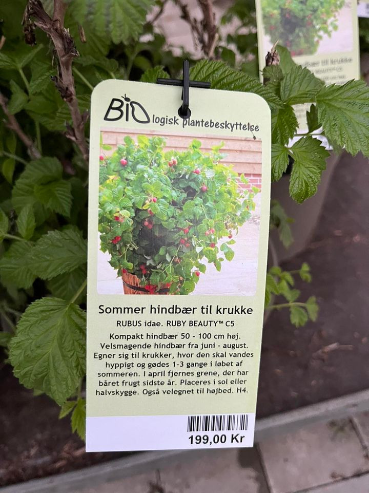 Opdatér dig her: Det nyeste fra Odder