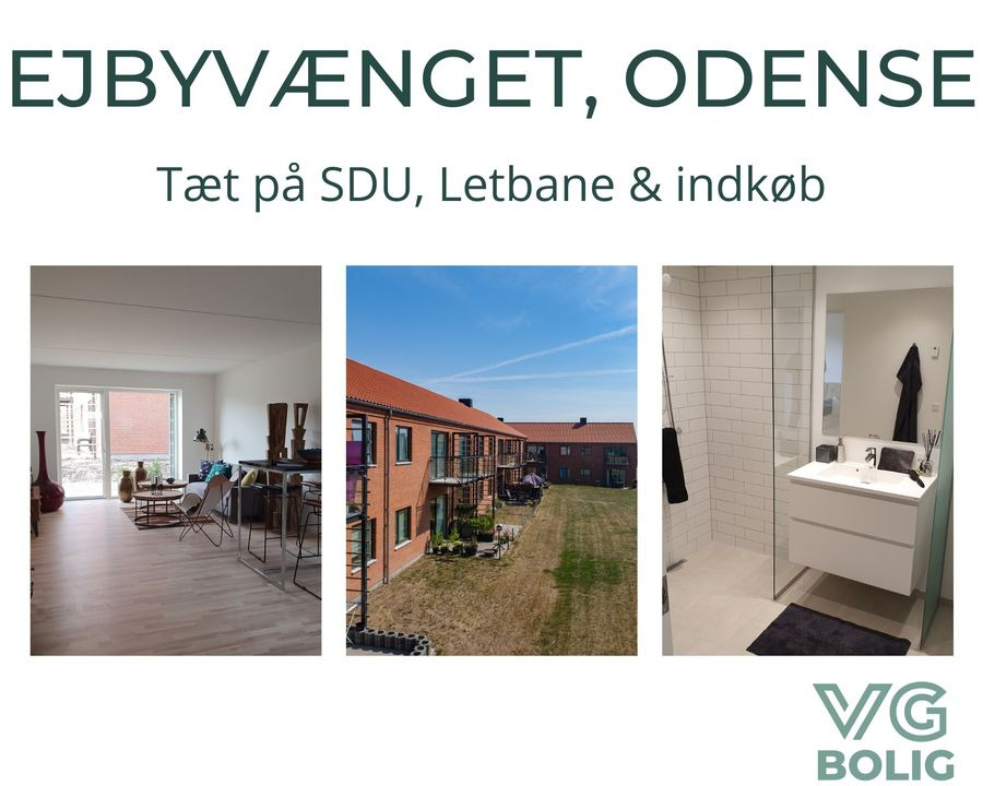 En finger på pulsen i Odense