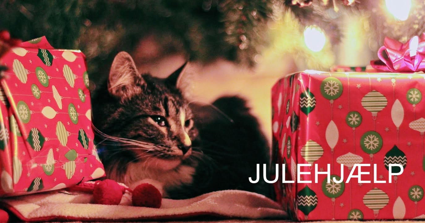 NordVestBO spreder julestemning med donationer til julehjælp i Holstebro og Struer