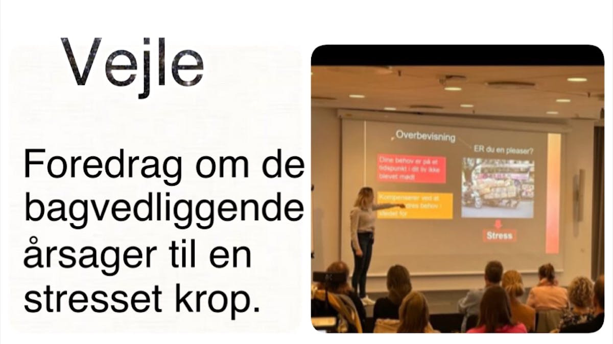 Foredrag om traumer, tankemylder og stress i Vejle