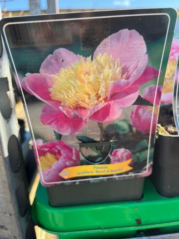 Hold trit med lokalområdet: Nyt fra Odder