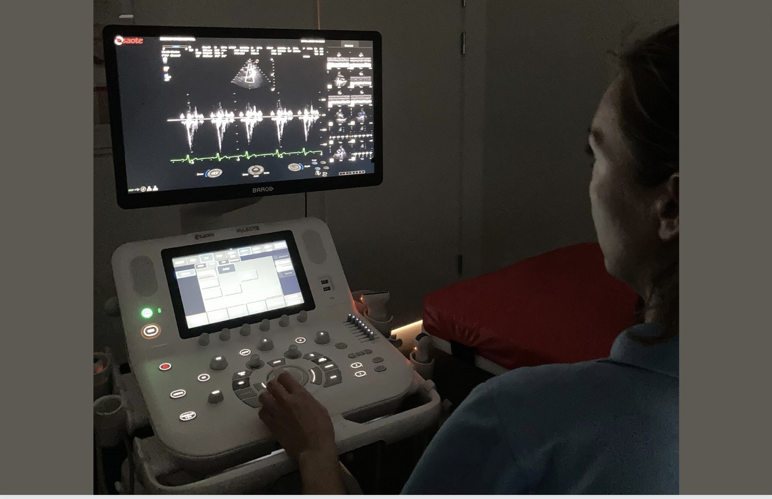 Risskov Dyrehospital introducerer hjertescanninger til kæledyr