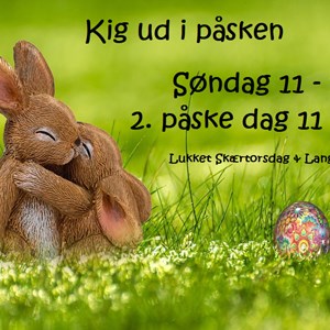 Opslagsbillede