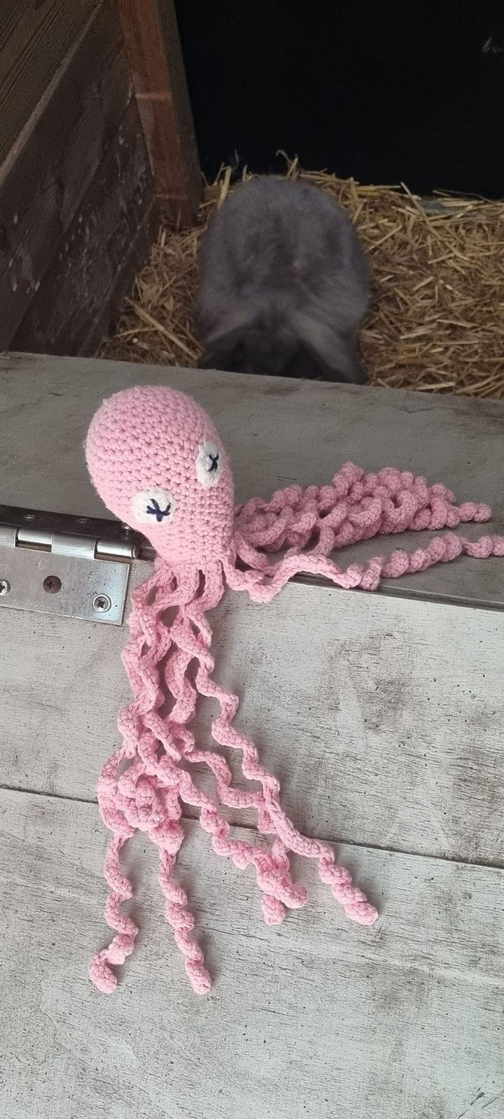 Hold trit med lokalområdet: Nyt fra Sæby