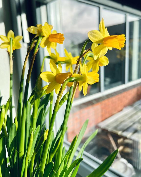 Hold trit med lokalområdet: Nyt fra Horsens