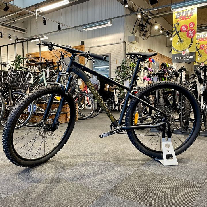 En finger på pulsen i Holstebro