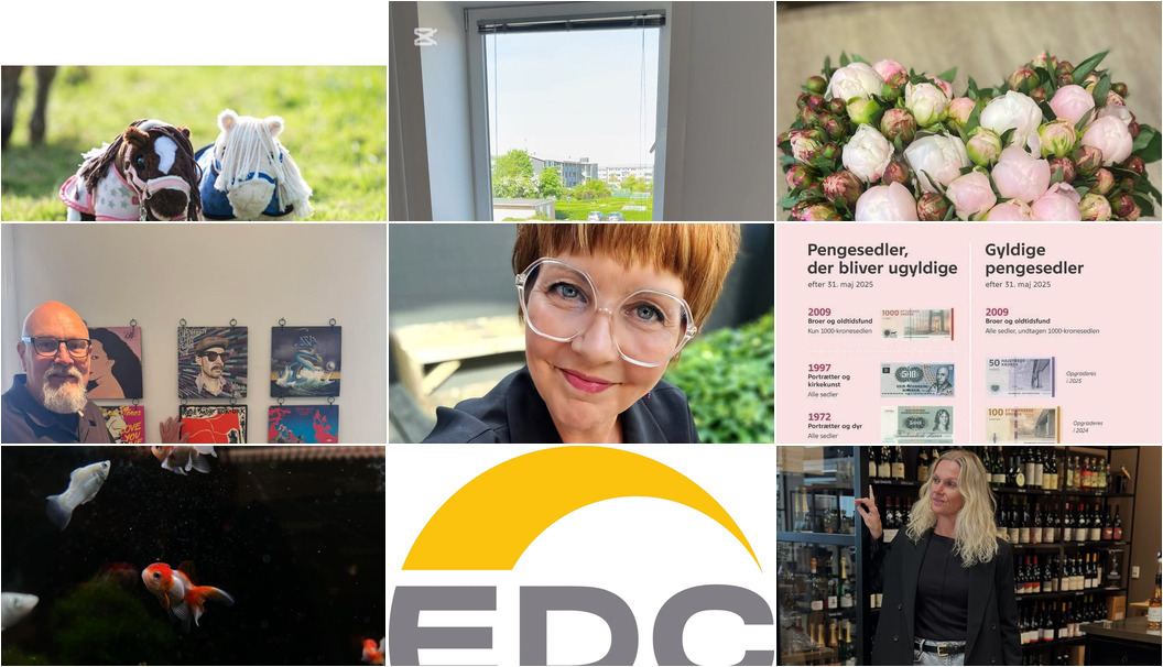 Nyt fra HESCA, MIN KØBMAND I ASP, Gimsinghoved og 7 andre