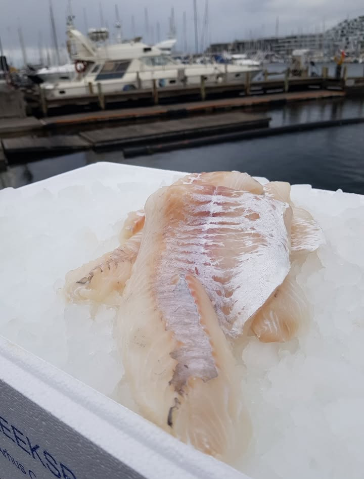 Frisk kuller til tilbudspris hos Løvbjerg Frederikshavn i dag