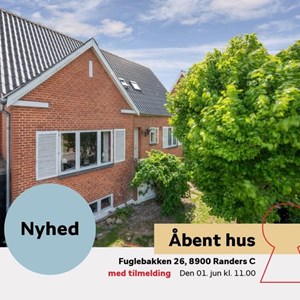 Opslagsbillede