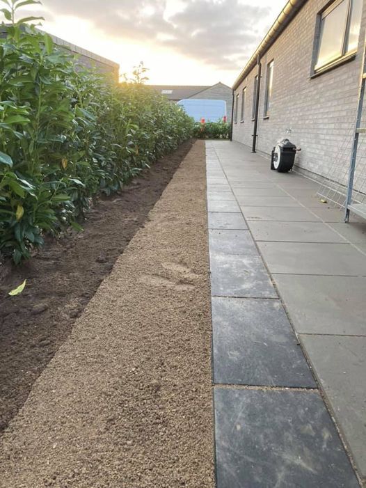 Dagens topnyheder på sociale medier fra dit område